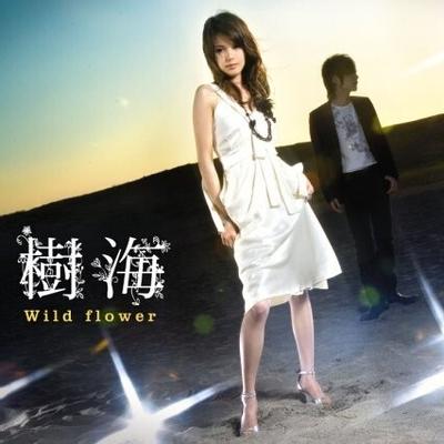 Wild flower 封面