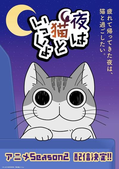 关于养猫我一直是新手 第二季 封面