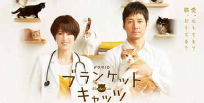 毛毯猫 封面