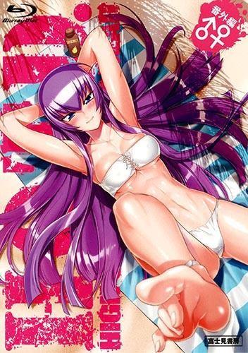 学园默示录 HIGHSCHOOL OF THE DEAD 番外篇 封面