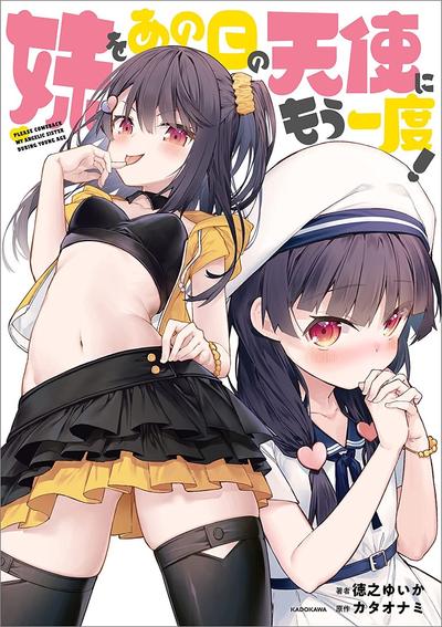 妹をあの日の天使にもう一度! 封面