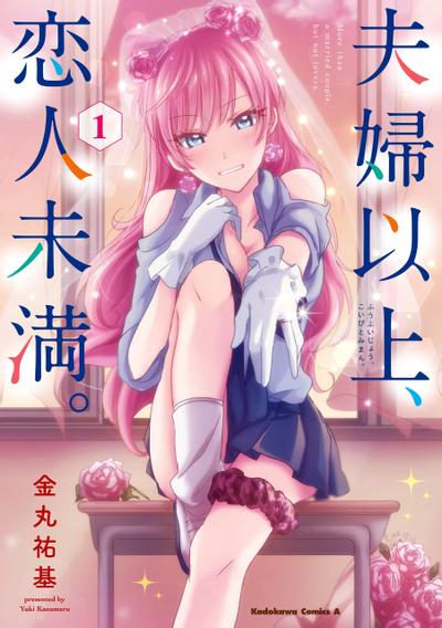 夫妇以上,恋人未满 封面