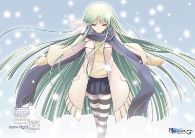 雪华 封面