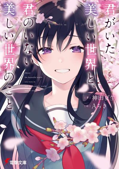 世界因你更加美丽 封面