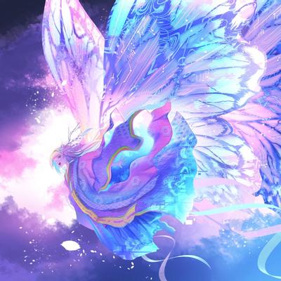 月虹蝶 封面