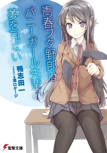 青春笨蛋少年不做兔女郎学姐的梦 封面
