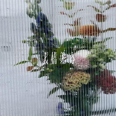 表情差分 封面
