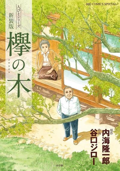 榉之木 封面