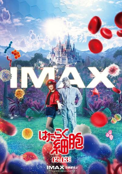 工作细胞 真人版 封面