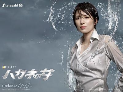钢之女 封面