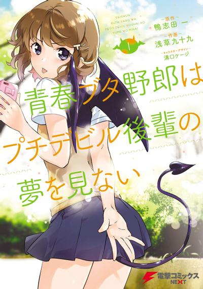 青春笨蛋少年不做小恶魔学妹的梦 封面