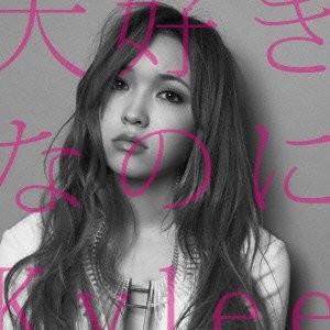 大好きなのに 封面