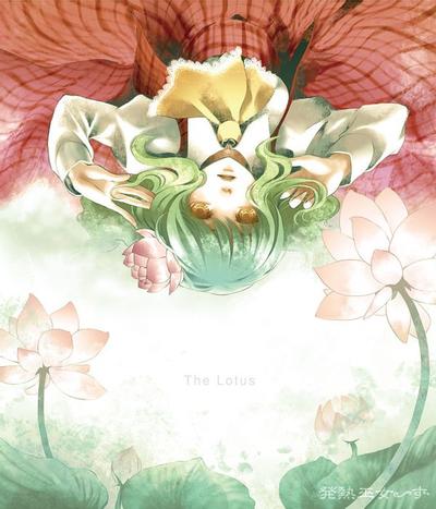 The Lotus 封面