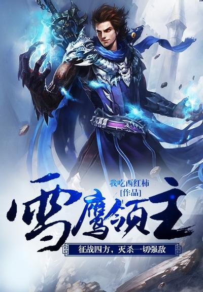 雪鹰领主 封面