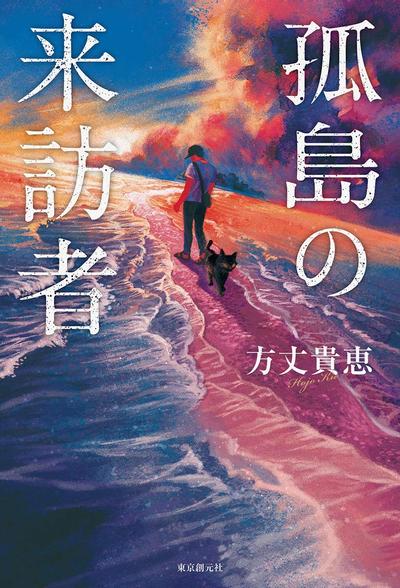 孤岛的来访者 封面