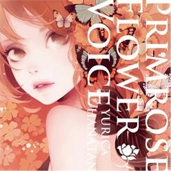 Primrose Flower Voice 封面