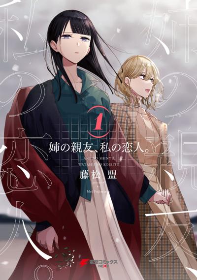 姐姐的挚友、我的恋人。 封面