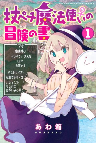 杖殴魔法使的冒险之书 封面