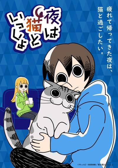 关于养猫我一直是新手 封面