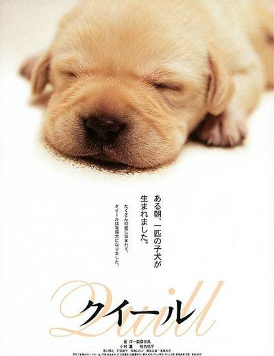 导盲犬小Q 封面