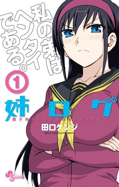 姐姐的妄想日记 封面