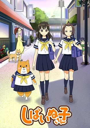 柴犬子 封面