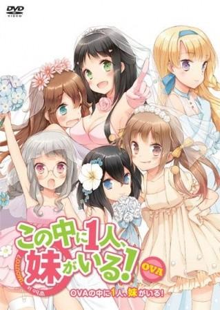 三人行必有我妹 OVA 封面