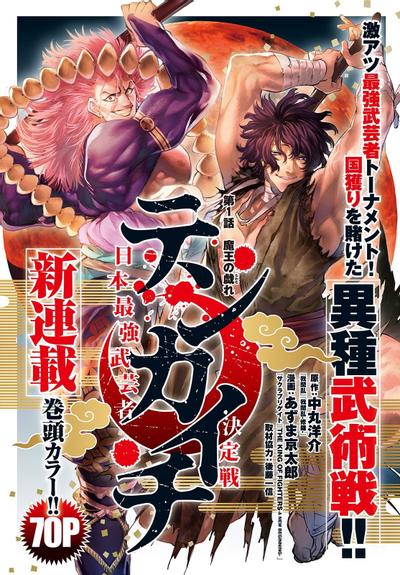 天下第一 日本最强武术家决定战 封面