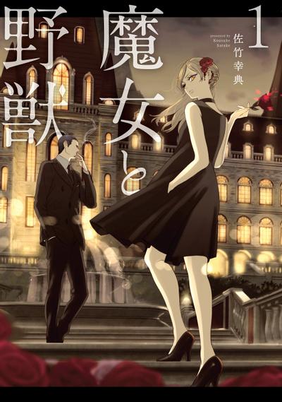 魔女与野兽 封面