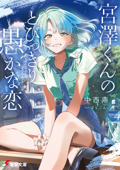 宮澤くんのとびっきり愚かな恋 封面