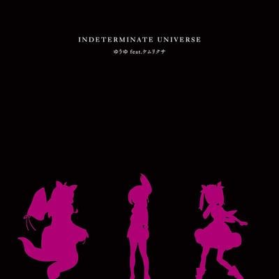 INDETERMINATE UNIVERSE 封面