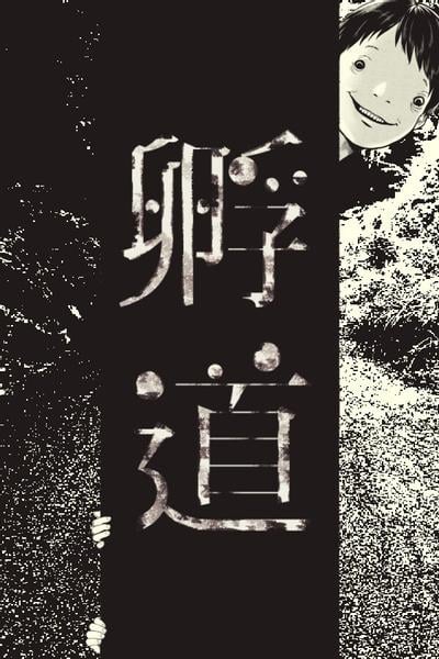 孵道 封面