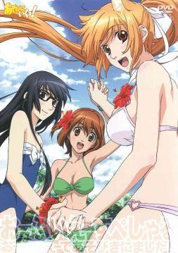 玩伴猫耳娘 OVA 封面