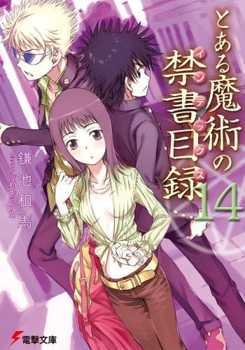 とある魔術の禁書目録 (14) 封面