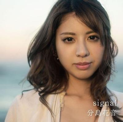 signal 封面