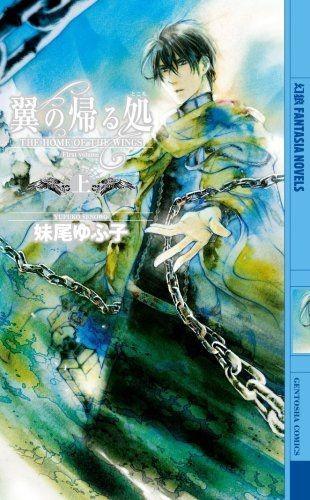 翼之归处 封面