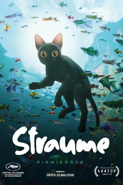 猫猫的奇幻漂流 封面