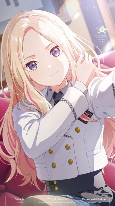 小さな野望 封面