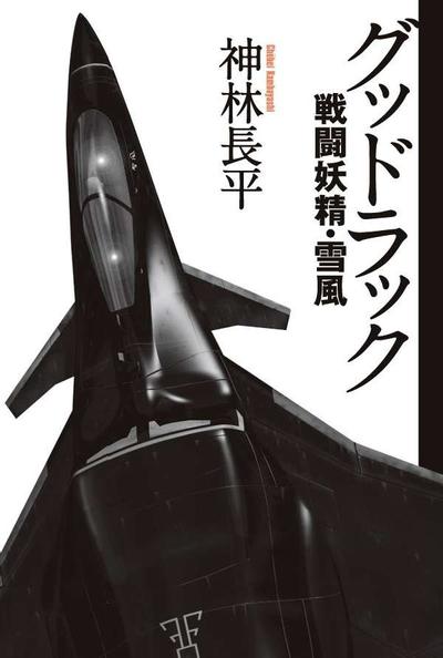 グッドラック 戦闘妖精・雪風 封面