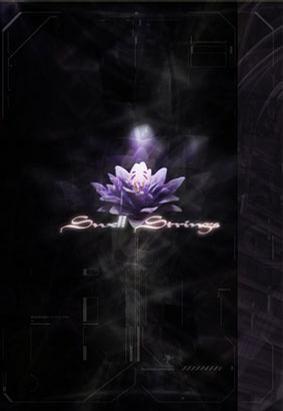 Swell Strings 封面