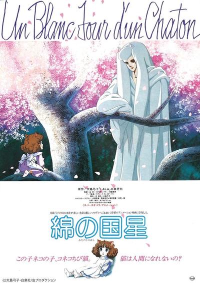 棉花国之星 封面