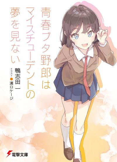 青春笨蛋少年不做自家女学生的梦 封面