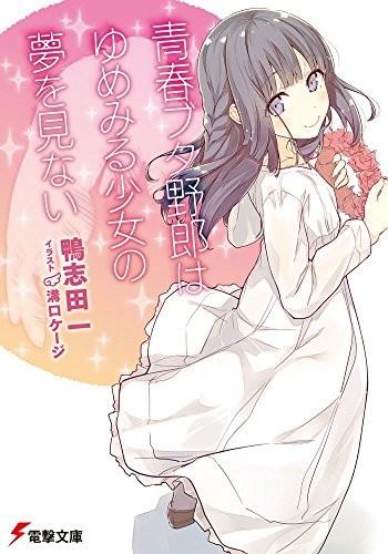 青春笨蛋少年不做怀梦美少女的梦 封面