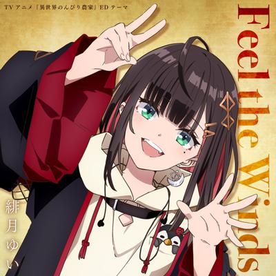 Feel the winds 封面