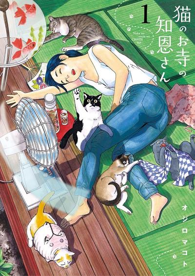 猫之寺的知恩姐 封面