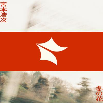 冬之花 封面
