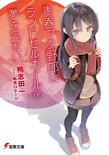 青春笨蛋少年不做小学美少女的梦 封面