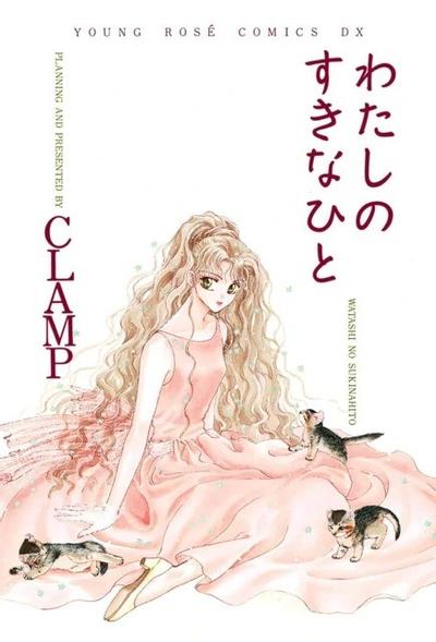 少女情怀总是诗 封面