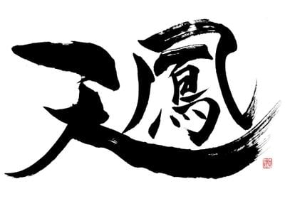 天凤 封面