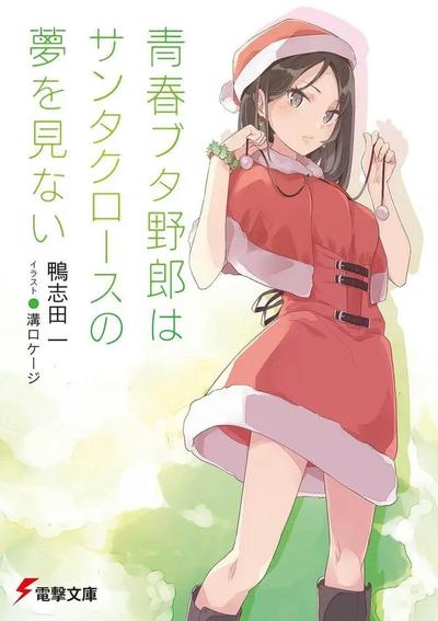 青春笨蛋少年不做圣诞服女郎的梦 封面